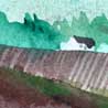 Ploughed Field